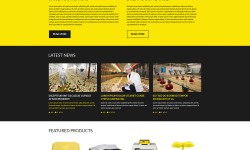 Dolor sit amet conse